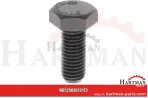 Śruba z łbem sześciokątnym M10 x 25 0002110320, 2110320