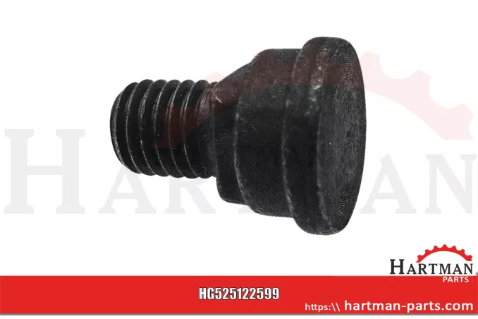 Śruba nożyka 122599, 496124