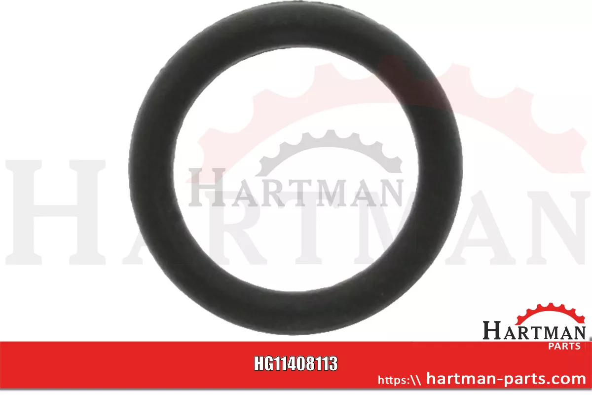Oring R63548