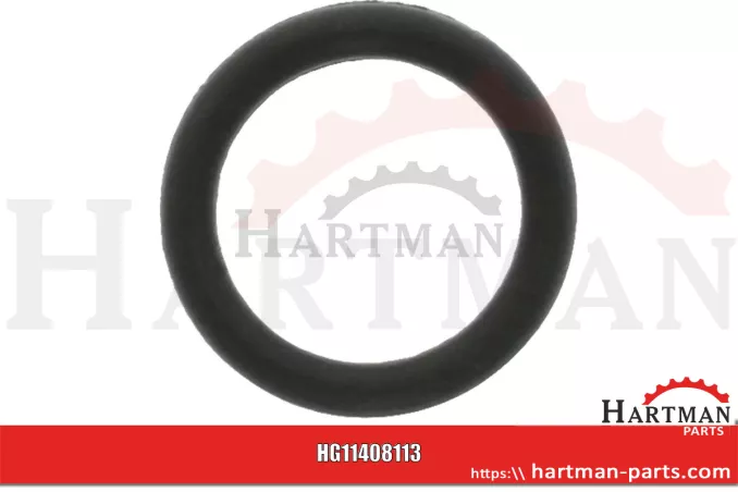 Oring R63548