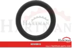 Oring R63548