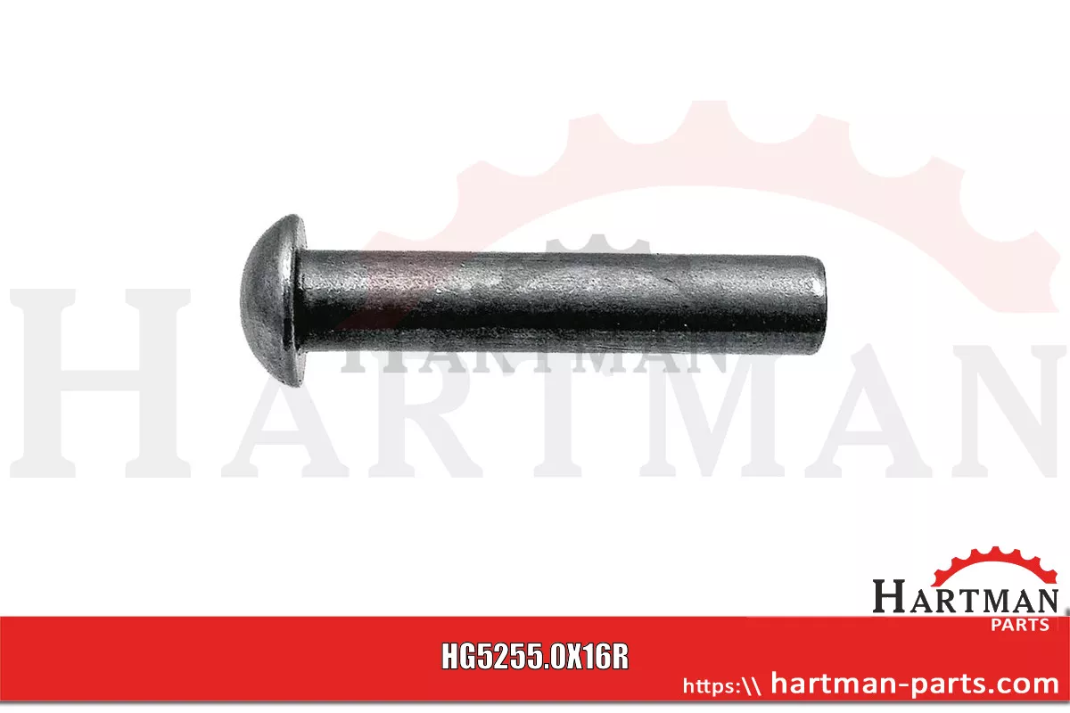 Nit z łbem kulistym Zestaw - 60 szt. D41306200