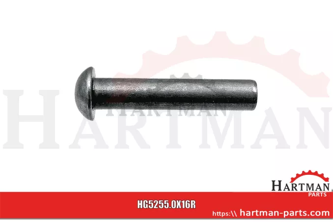 Nit z łbem kulistym Zestaw - 60 szt. D41306200