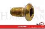 Śruba płozy 607001801