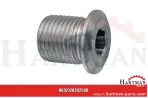 Śruba zamykająca gniazdo sześciokątne długość 20 mm 28202508