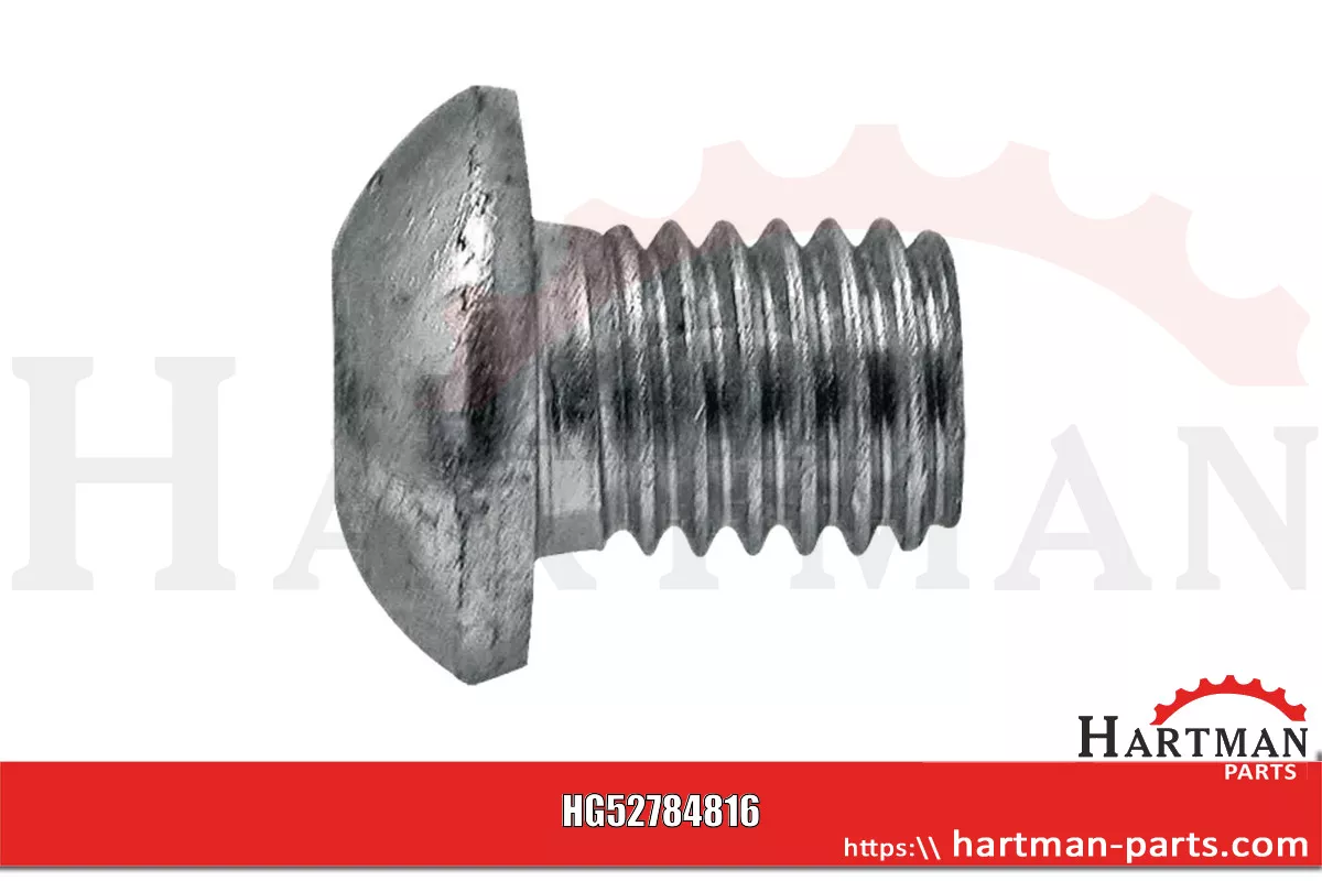 Śruba z łbem okrągłym z gniazdem sześciokątnym, 10 x 12 mm 84816