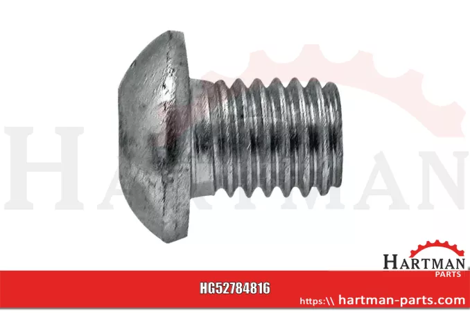 Śruba z łbem okrągłym z gniazdem sześciokątnym, 10 x 12 mm 84816
