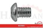 Śruba z łbem okrągłym z gniazdem sześciokątnym, 10 x 12 mm 84816