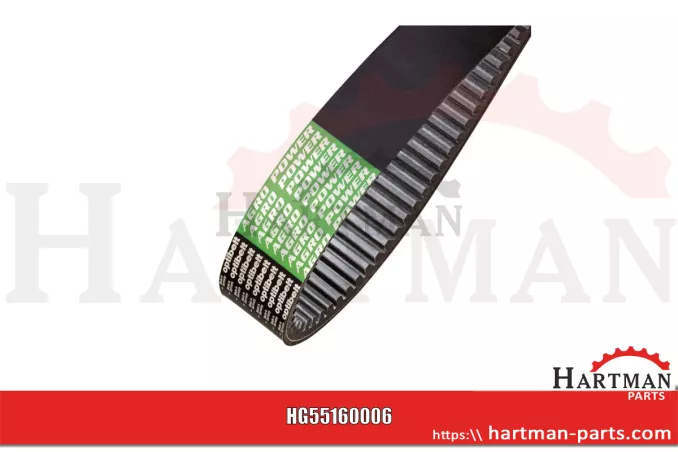 Pas klinowy wariator dmuchawy 30 x 15 x 1600 1001074, 01145369, AP1001