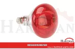 Lampa na podczerwień 250 W Rot