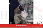 Ochraniacz ramion z neoprenu, M 2 szt.