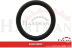 O-ring 47165217, 1716.52.17