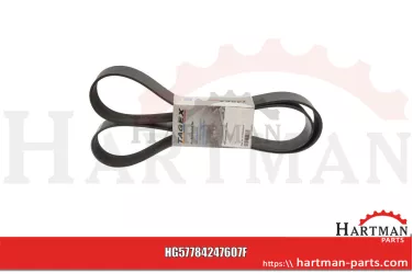 Pas klinowy Napęd alternatora 84247607, 504049425