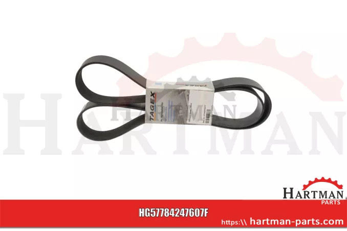 Pas klinowy Napęd alternatora 84247607, 504049425