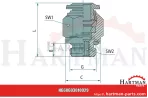 B-GE-6-1/8-MSv proste złącze wkręcane