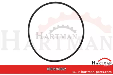 Oring 241883, 242020
