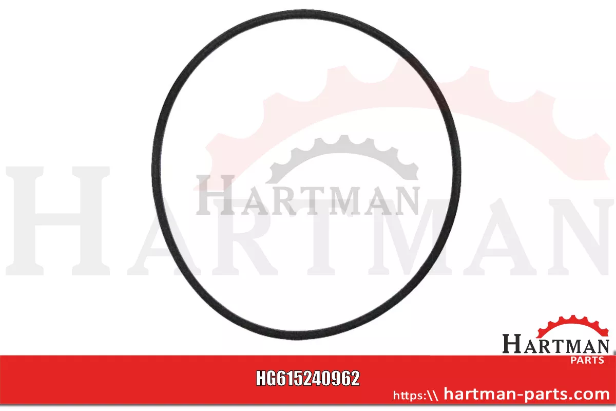 Oring 241883, 242020