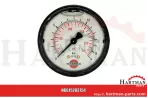 Manometr glicerynowy 283754