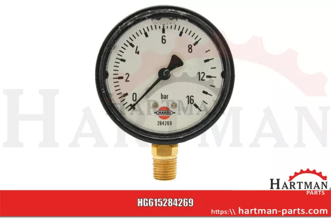 Manometr glicerynowy 284269
