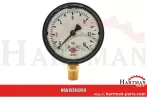 Manometr glicerynowy 284269