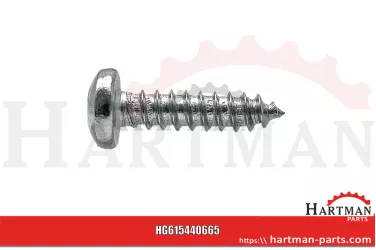 Śruba do mocowania rozpylacza 440665