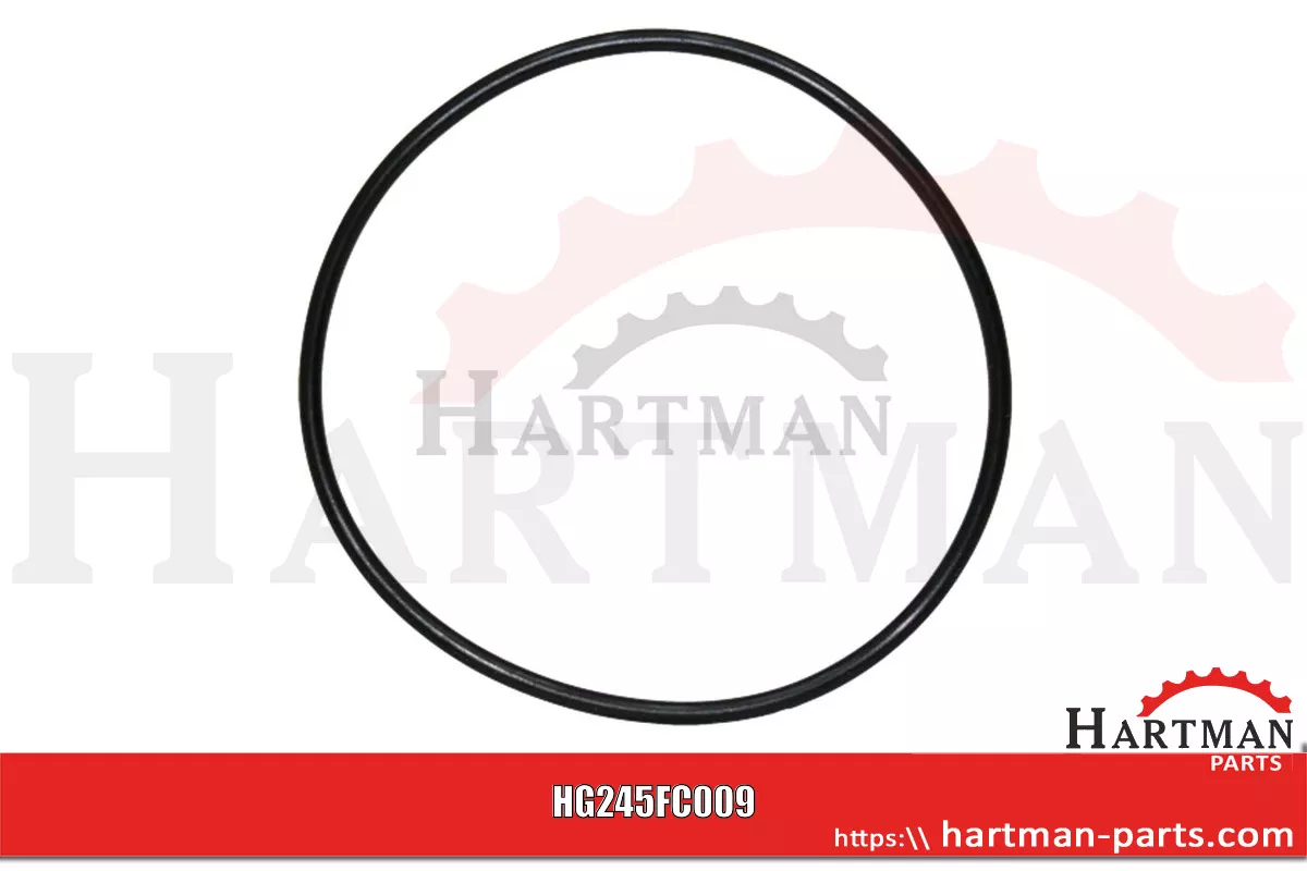 Oring 00005205, RG00005205
