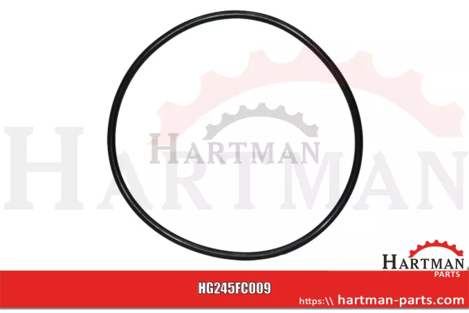 Oring 00005205, RG00005205