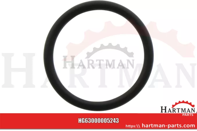 Oring Viton 00005243, RG00005243