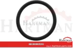 Oring Viton 00005243, RG00005243