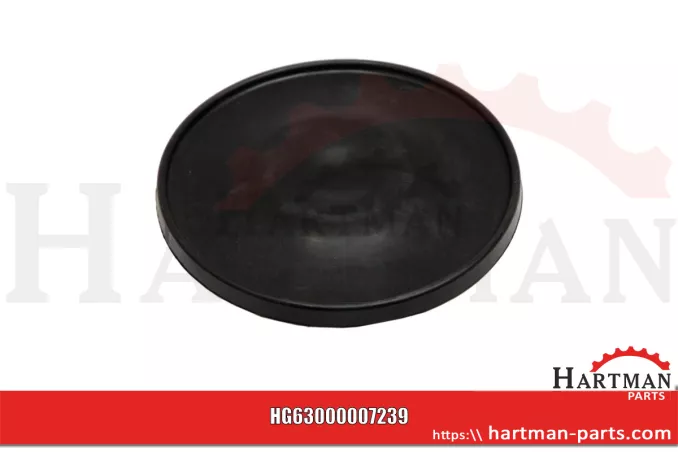 Membrana 00007239, RG00007239