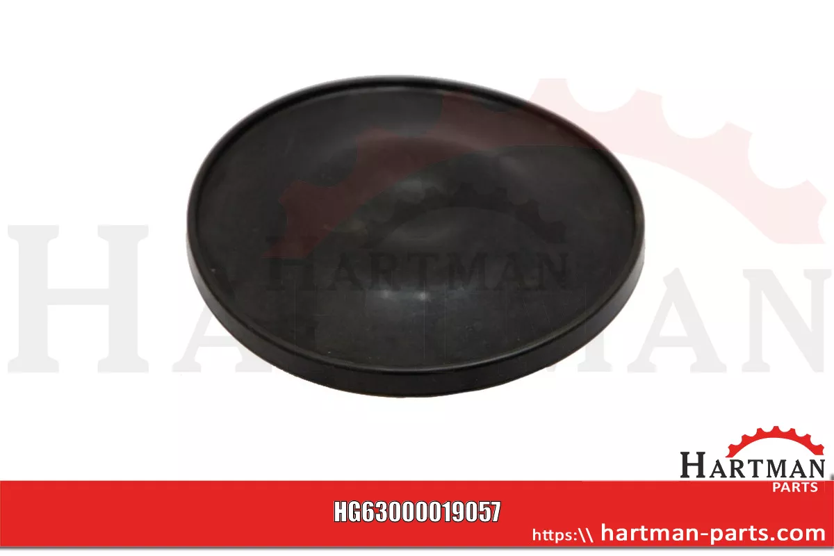 Membrana Viton 00019057, RG00019057