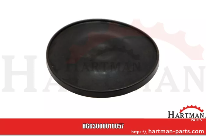 Membrana Viton 00019057, RG00019057