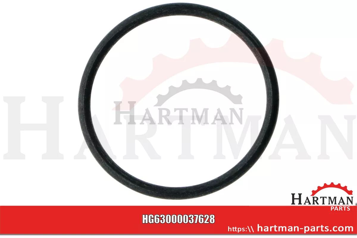 Oring RG00037628, 00037628