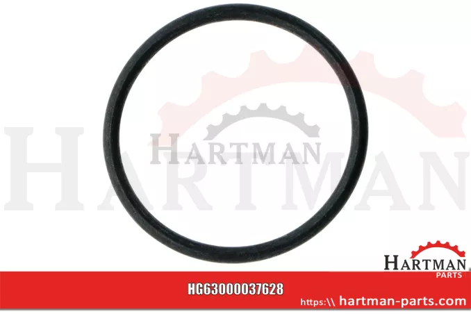 Oring RG00037628, 00037628