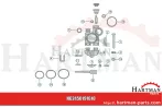 Pierścień zębaty, połowa żywica etenalowa czarny RG00039899, 00039899