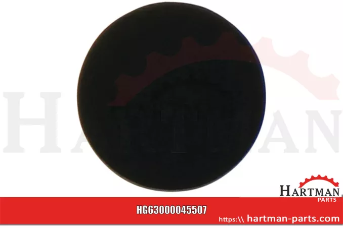 Uszczelka RG00045507, 00045507