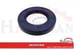 Pierścień uszczelniający wału 035 x 062 x 10 SL KG00173900, 00173900