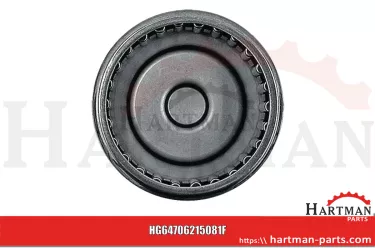 Łożysko igiełkowe 408543, 089.000.8970.917, VF06215081, BK 3020, 06215