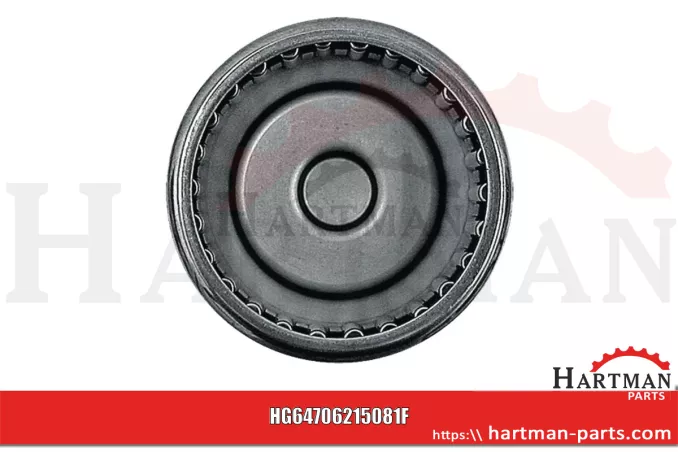 Łożysko igiełkowe 408543, 089.000.8970.917, VF06215081, BK 3020, 06215