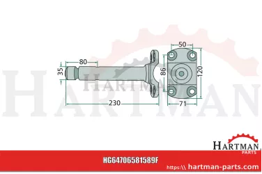 Oś z kołnierzem VF06581589, 06581589