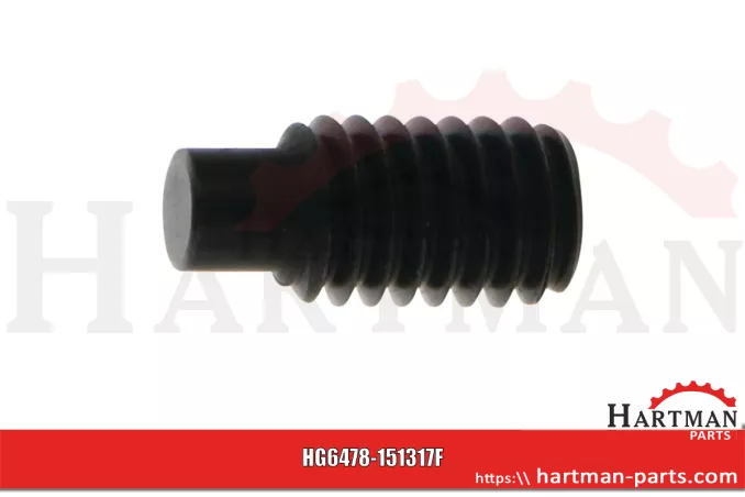 Wkręt dociskowy M6 x 12 mm 97-013814, LM97013814