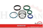 Zestaw uszczelek do siłownika hydraulicznego VNB1347778, B1347778, 020