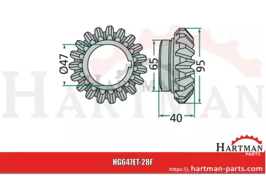 Koło stożkowe 19 zębów Z1100650
