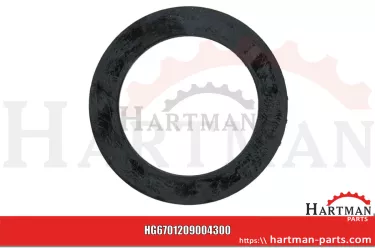 Oring 00005-00282