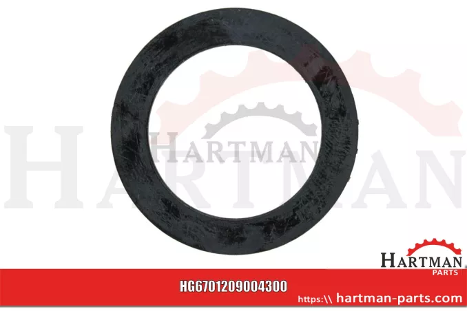 Oring 00005-00282