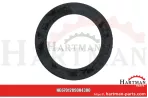 Oring 00005-00282