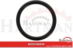 Oring 00005-00379