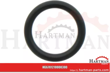 Oring 00005-00380