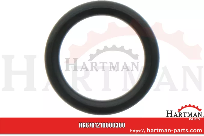 Oring 00005-00380
