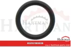 Oring 00005-00380